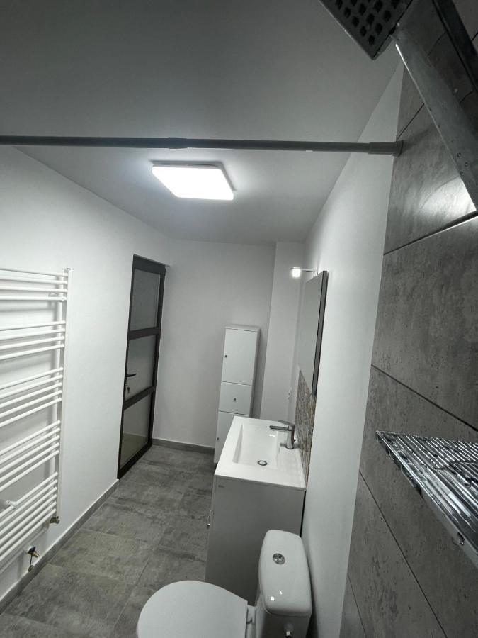 Casa Dan Apartment Buzau Bagian luar foto