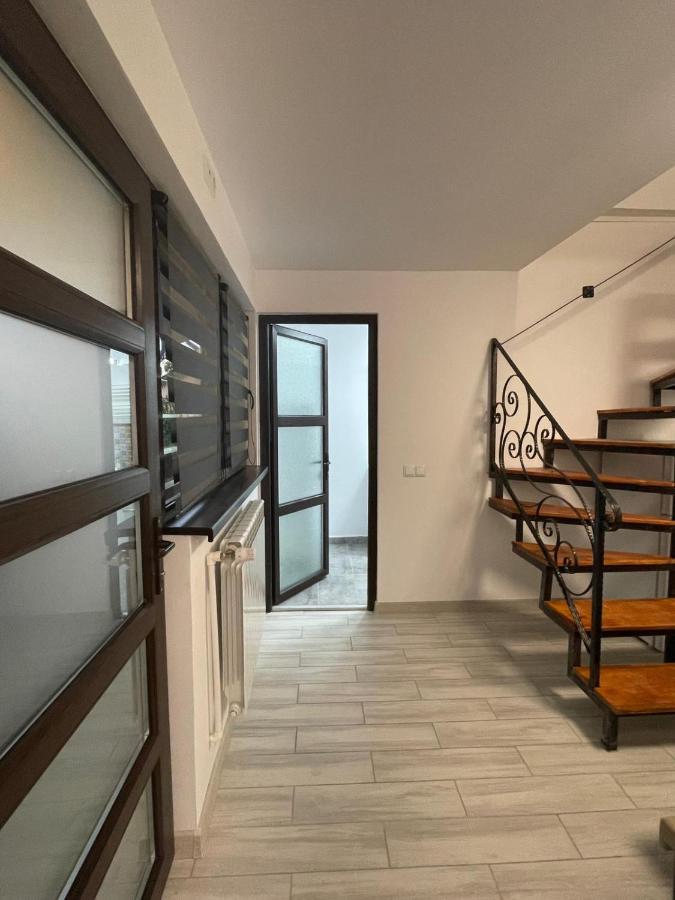 Casa Dan Apartment Buzau Bagian luar foto