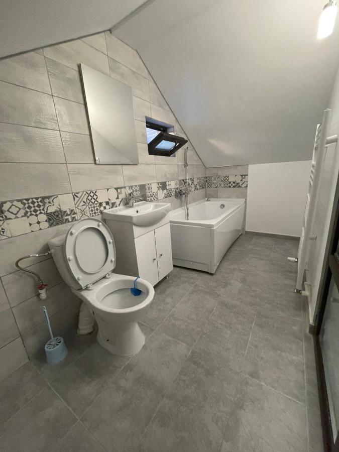 Casa Dan Apartment Buzau Bagian luar foto