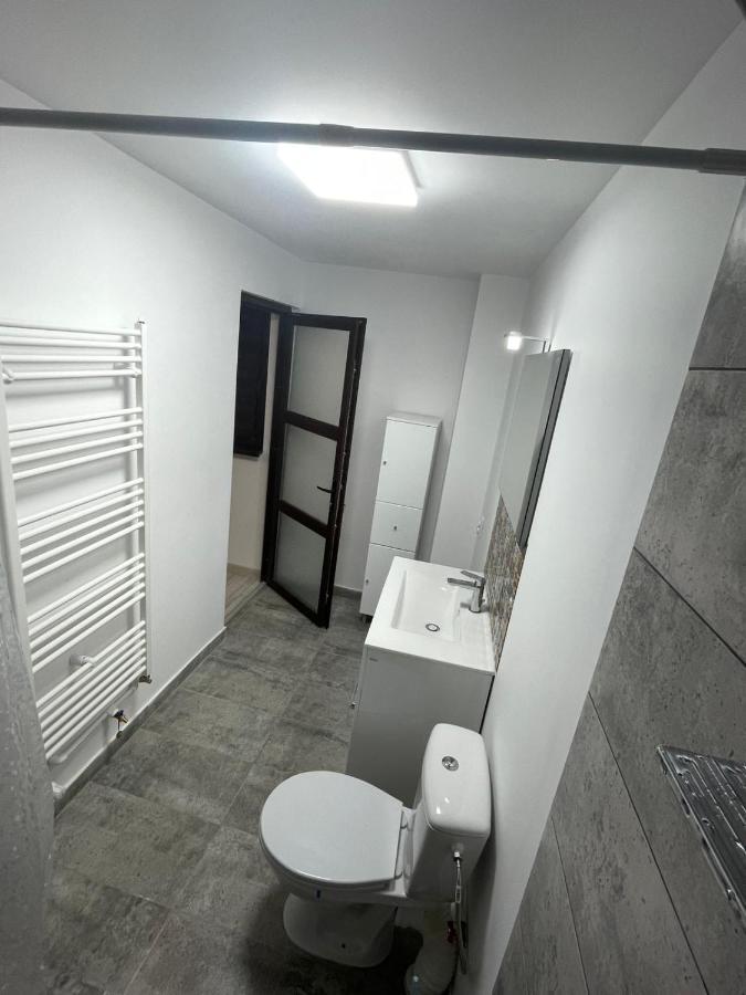 Casa Dan Apartment Buzau Bagian luar foto