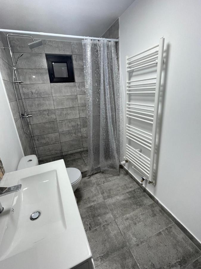 Casa Dan Apartment Buzau Bagian luar foto