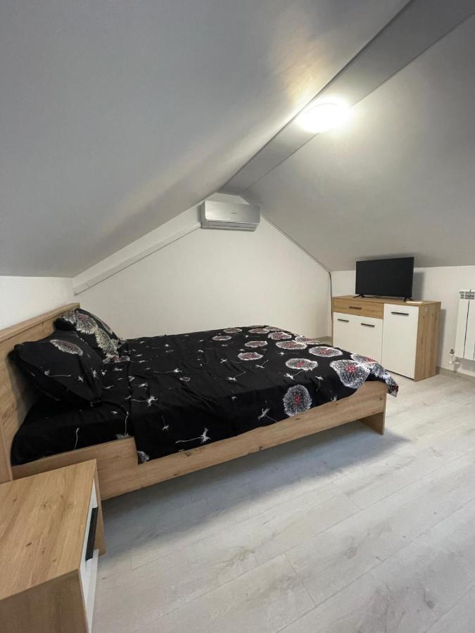 Casa Dan Apartment Buzau Bagian luar foto