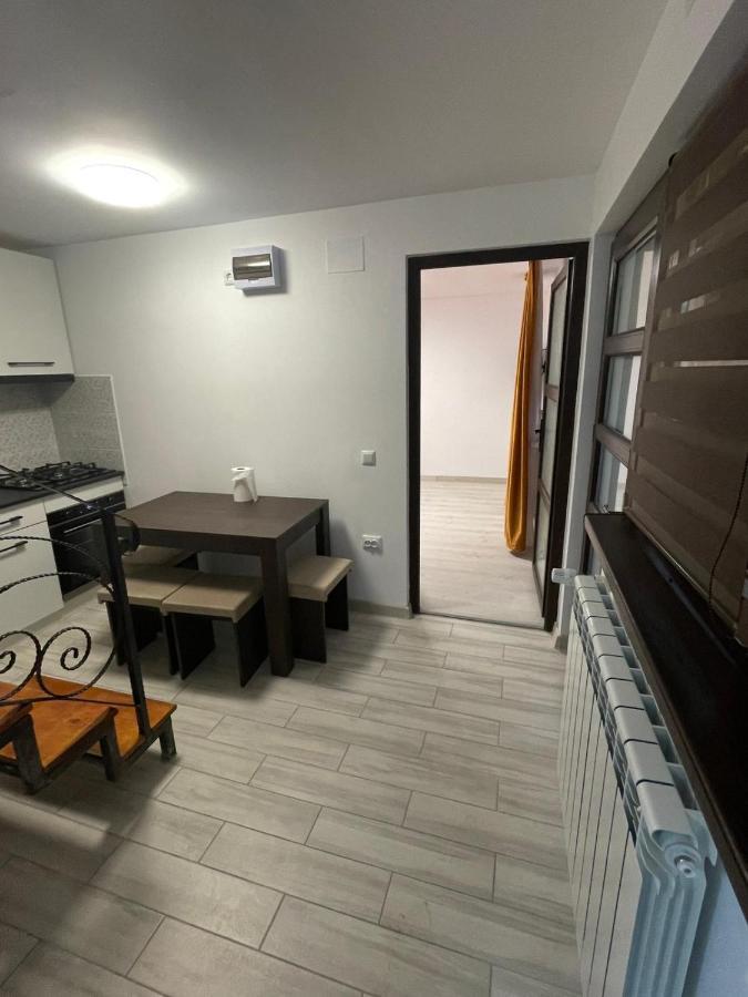 Casa Dan Apartment Buzau Bagian luar foto
