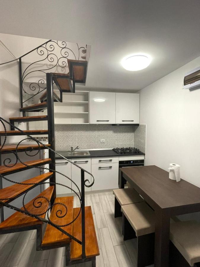 Casa Dan Apartment Buzau Bagian luar foto