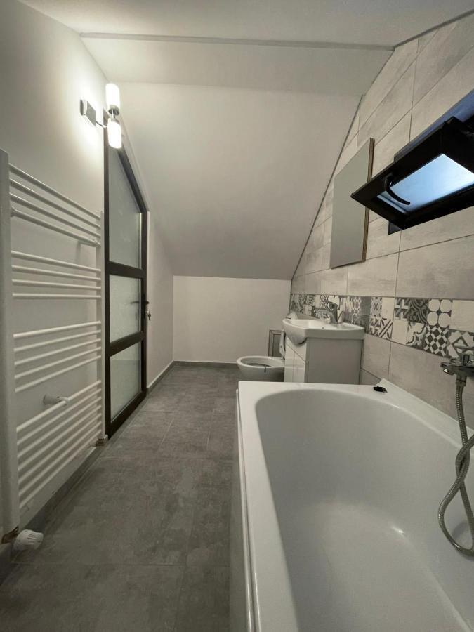 Casa Dan Apartment Buzau Bagian luar foto